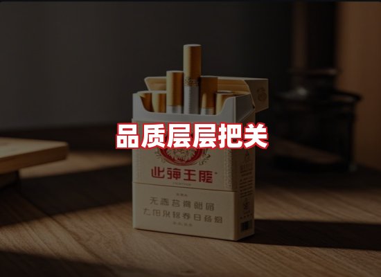 专业团队